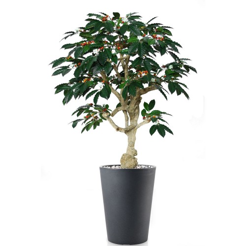 Planta semi-artificiala Ila, Coffee Crown Green - 180 cm